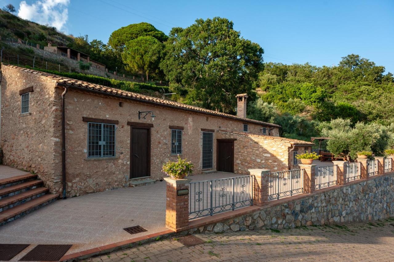 Azienda Agrituristica Le Terre Di San Leonardo Cetraro Exteriér fotografie